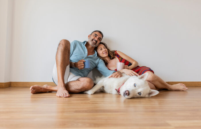 Estos son algunos de los factores a tener en mente a la hora de renovar tus suelos si tienes mascotas.